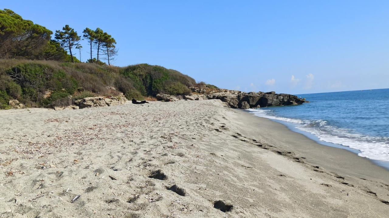 Les Jardins De La Mer Marine De Bravone - 2 Chambres A Lit Plus Sofa Avec Piscine A Cote Mer Linguizzetta المظهر الخارجي الصورة
