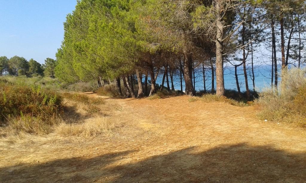 Les Jardins De La Mer Marine De Bravone - 2 Chambres A Lit Plus Sofa Avec Piscine A Cote Mer Linguizzetta المظهر الخارجي الصورة